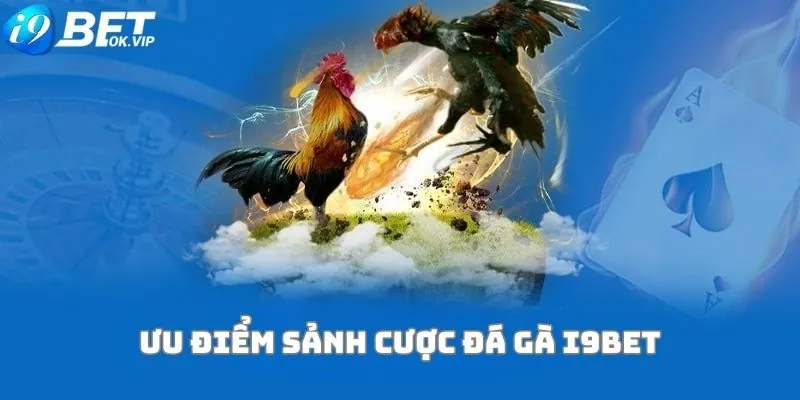 Đối chiếu thông tin thay vì suy đoán - Rw88